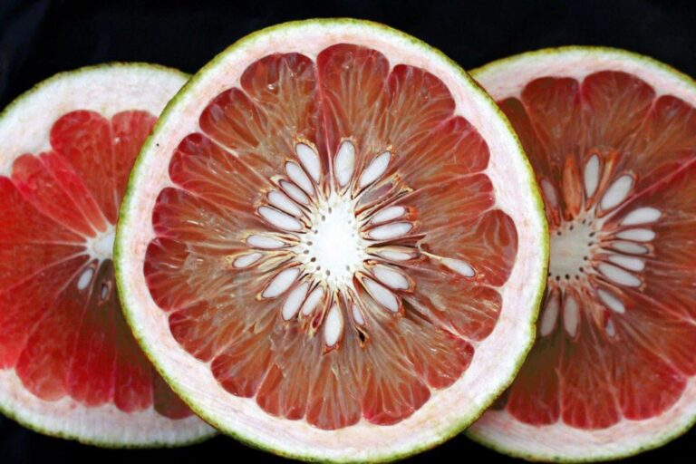Can You Eat Grapefruit Seeds? Are Grapefruit Seeds Poisonous?