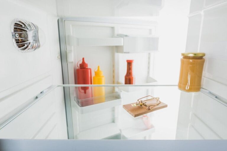 Does Ketchup Need To Be Refrigerated After Opening? How To Store Ketchup?
