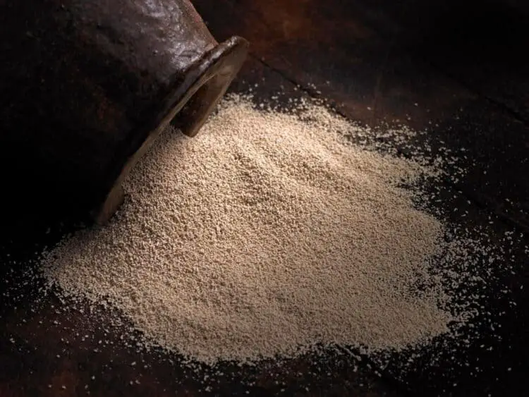How Long Does Active Dry Yeast Last? Does It Need To Be Activated