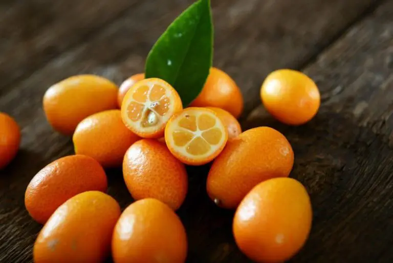 Can You Eat Kumquat Skin? Is Kumquat Skin Edible?