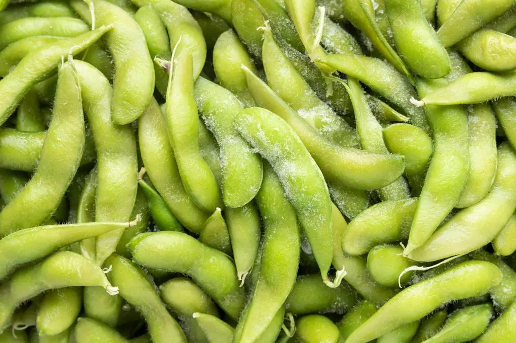 raw edamame