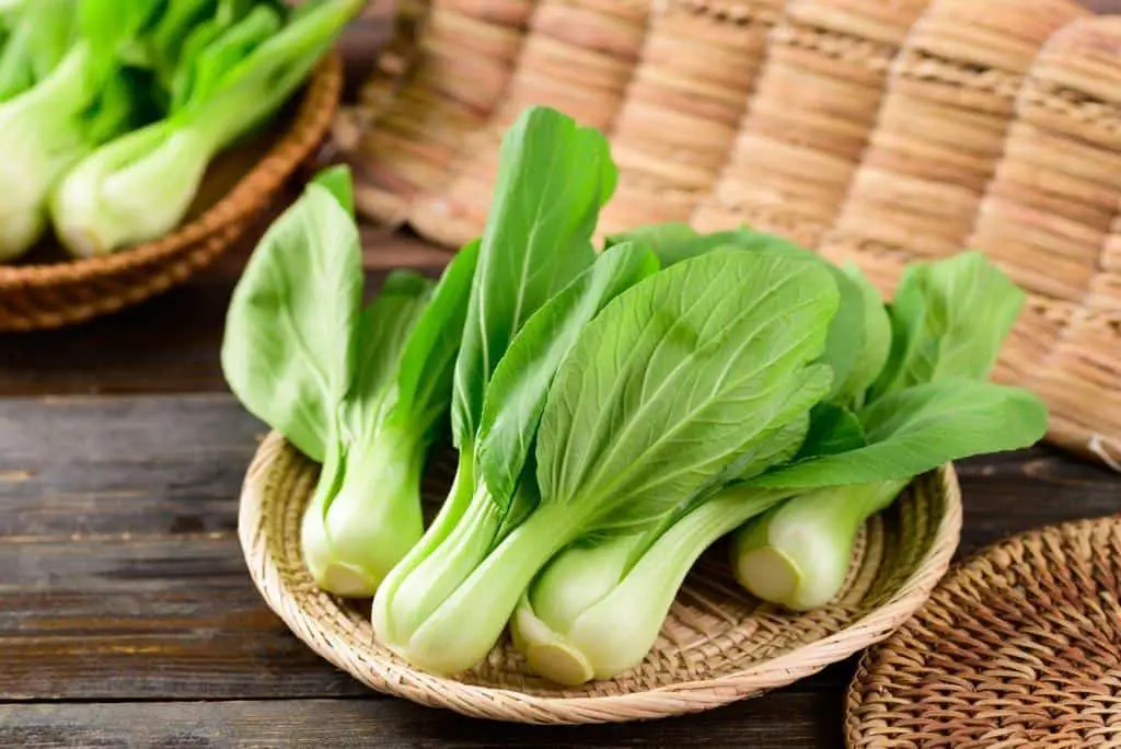 raw fresh bok choy