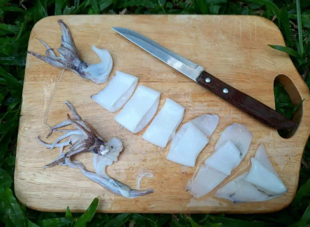 raw squid cutting preparation