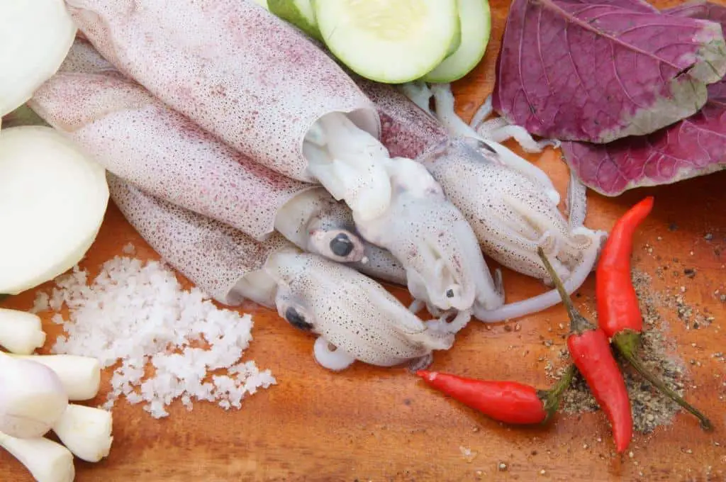 raw squid