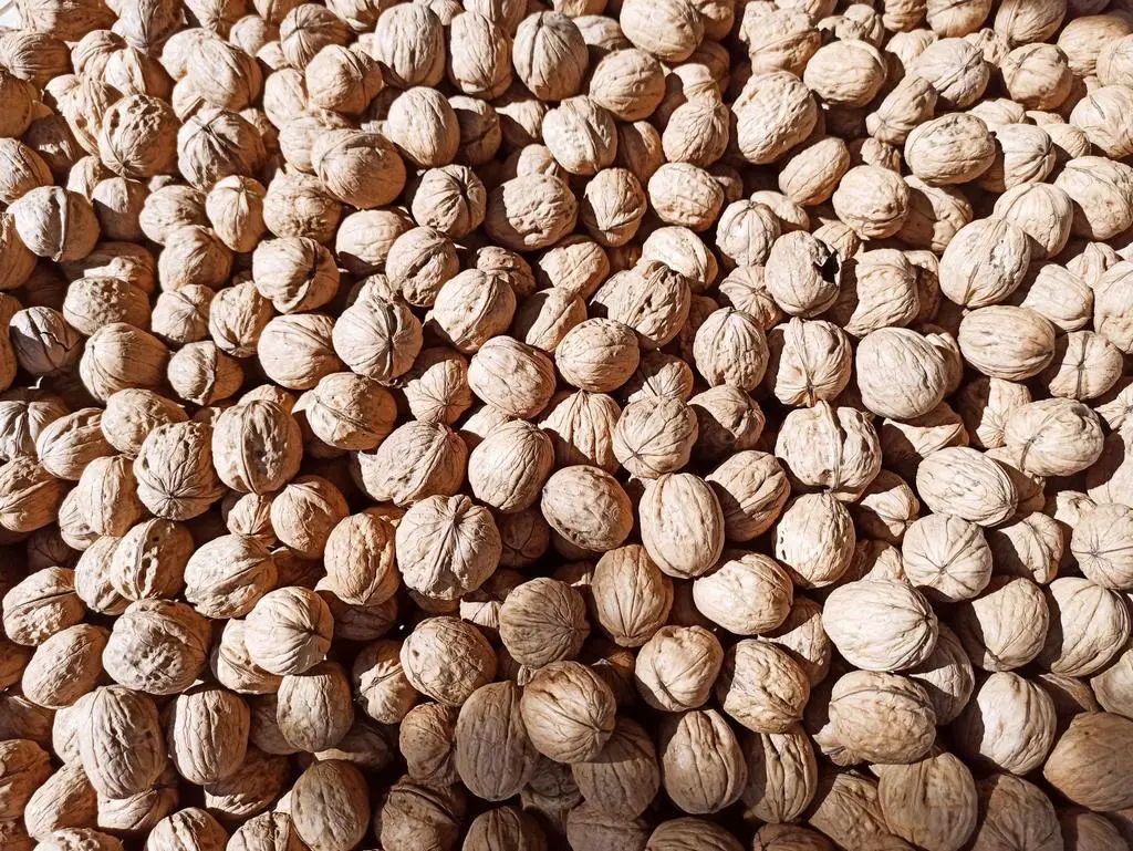 raw walnuts