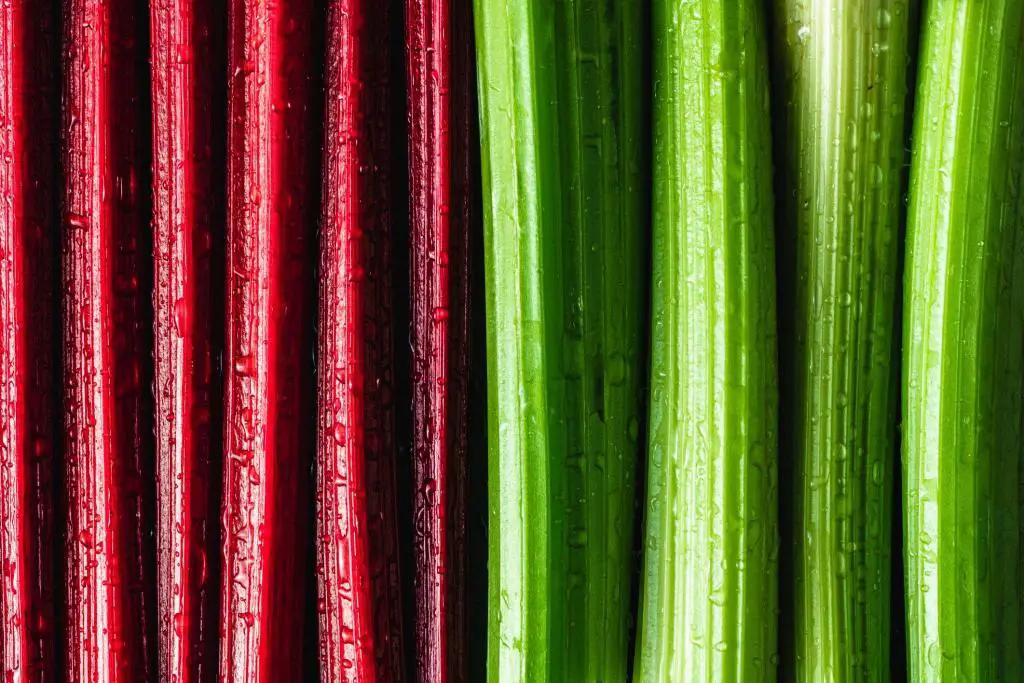 red green rhubarb