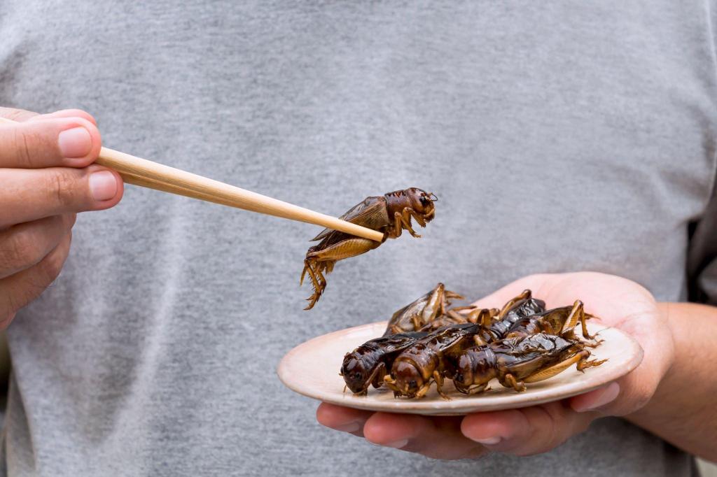 eating crickets insect