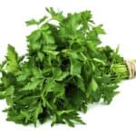 parsley leaves stem