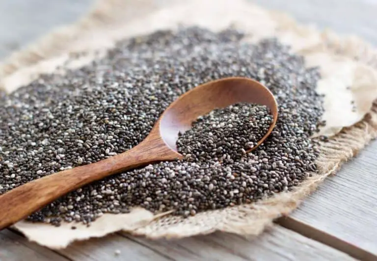 Guide to Chia Seeds Shelf Life After Opening (Chia Seeds Expiration Date)