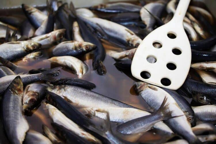 Why Does Fish Sauce Smell So Bad? The Science Behind the Pungent Aroma