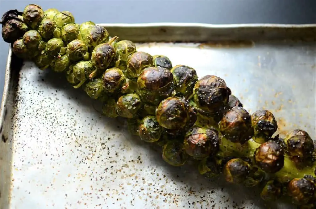 brussels sprouts stalks roasted