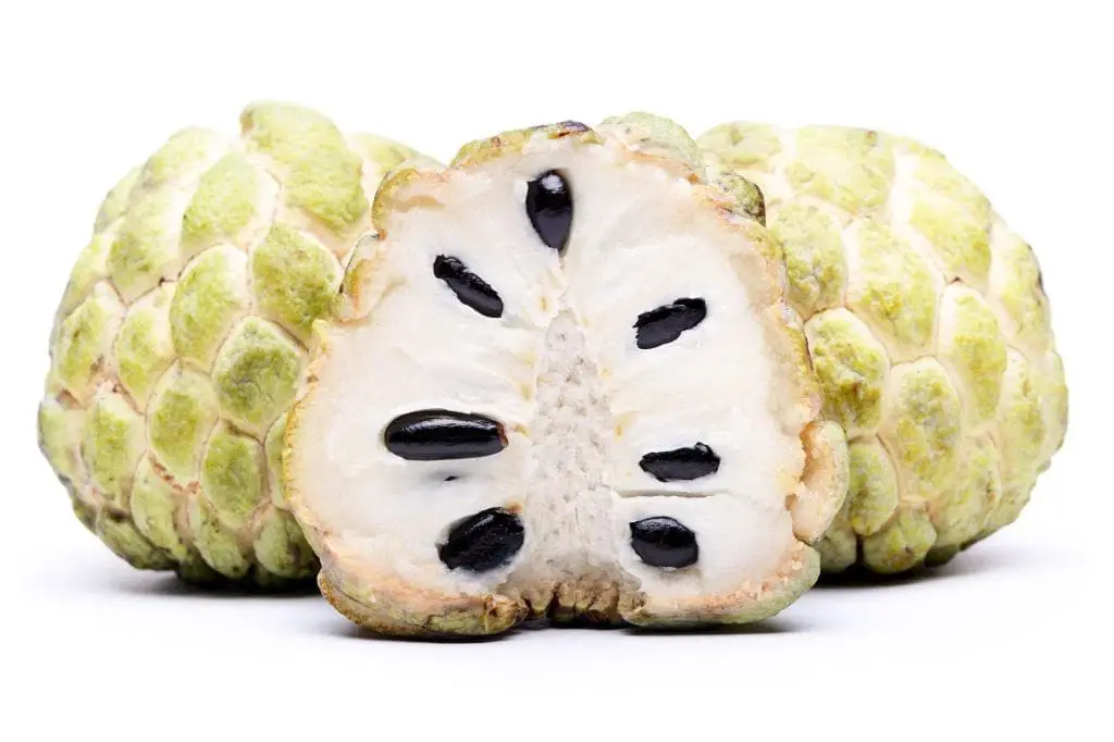 cherimoya fruit flesh seed skin