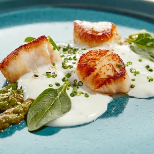 Grilled Scallops With Asparagus and Creamy Espuma