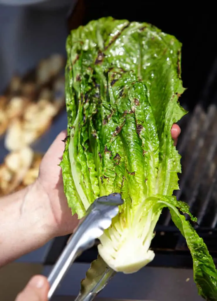 grilled lettuces