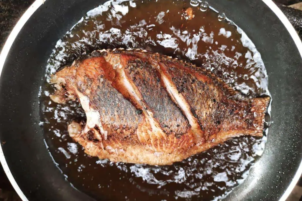undercooked raw tilapia fish