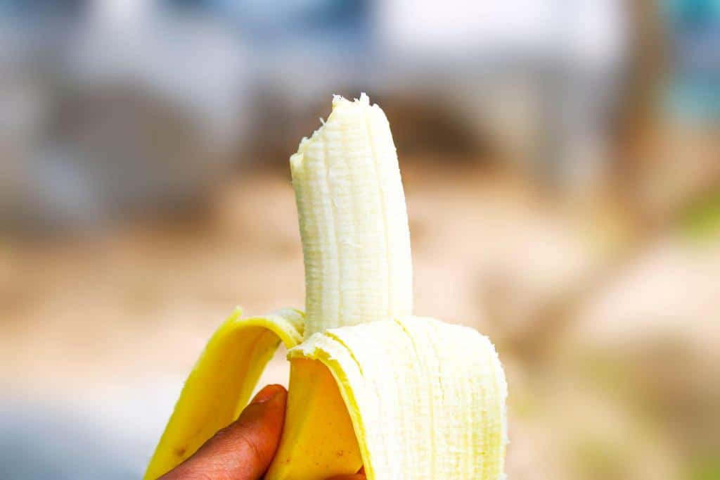 eating opened banana