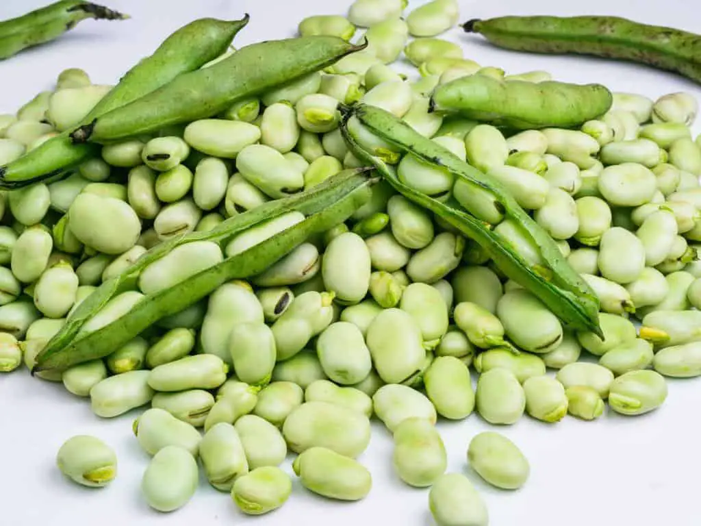Fava bean skin and pods are used in Mediterranean cuisine in dishes like "ful medames" and "broad bean risotto." They add a unique texture and flavor to these recipes.