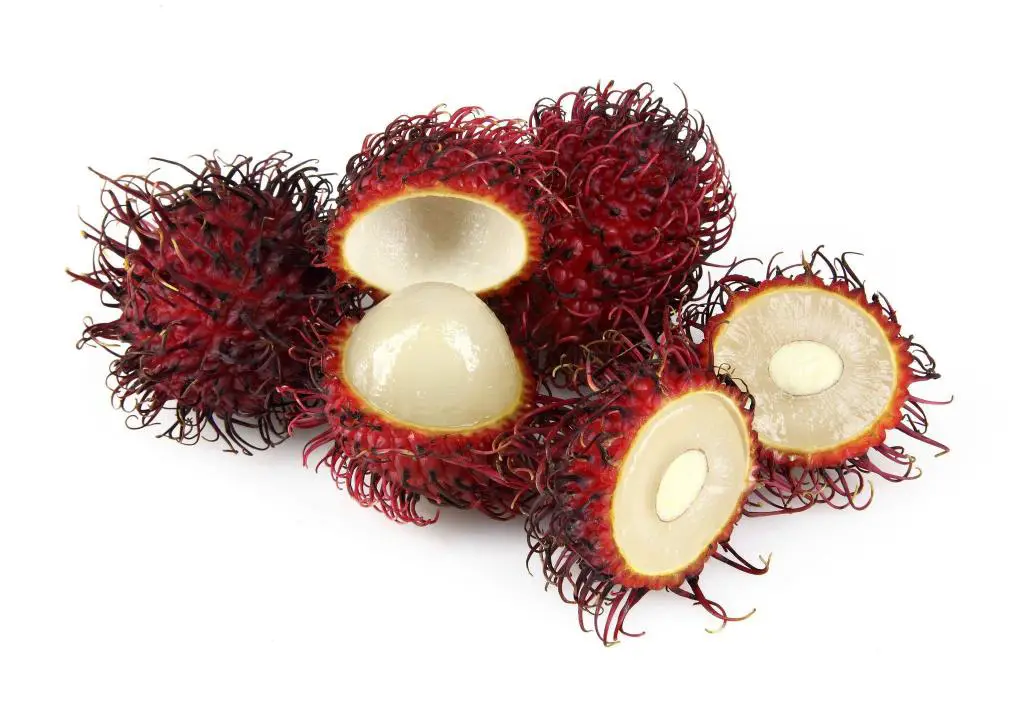 inside rambutan fruits