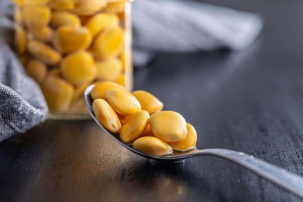 lupini beans brine pickled