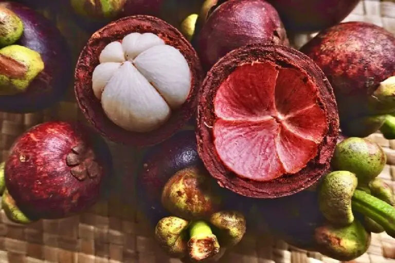 Can You Eat Mangosteen Skin? Is Its Peel Edible and Safe to Eat?