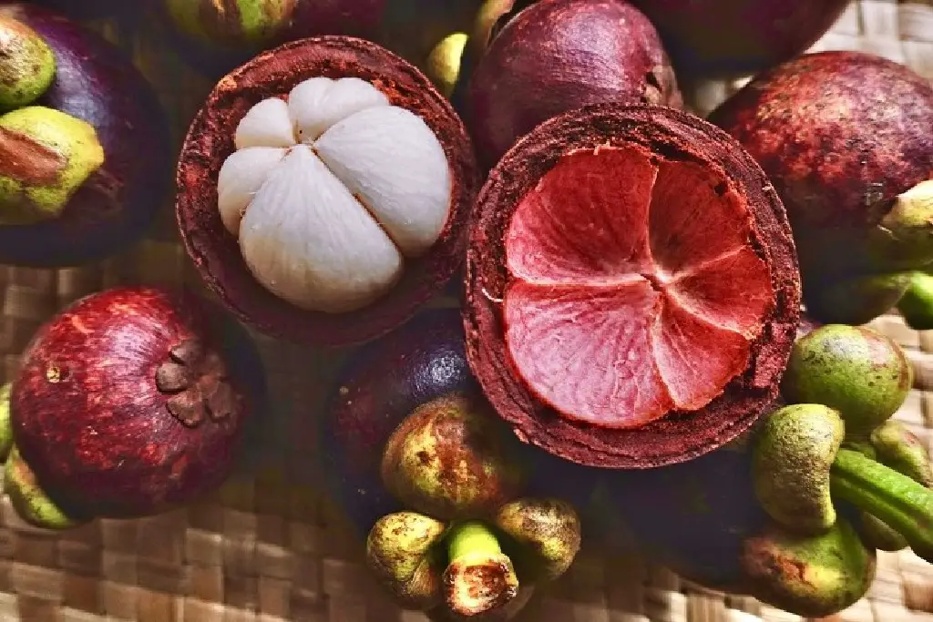 mangosteen skin