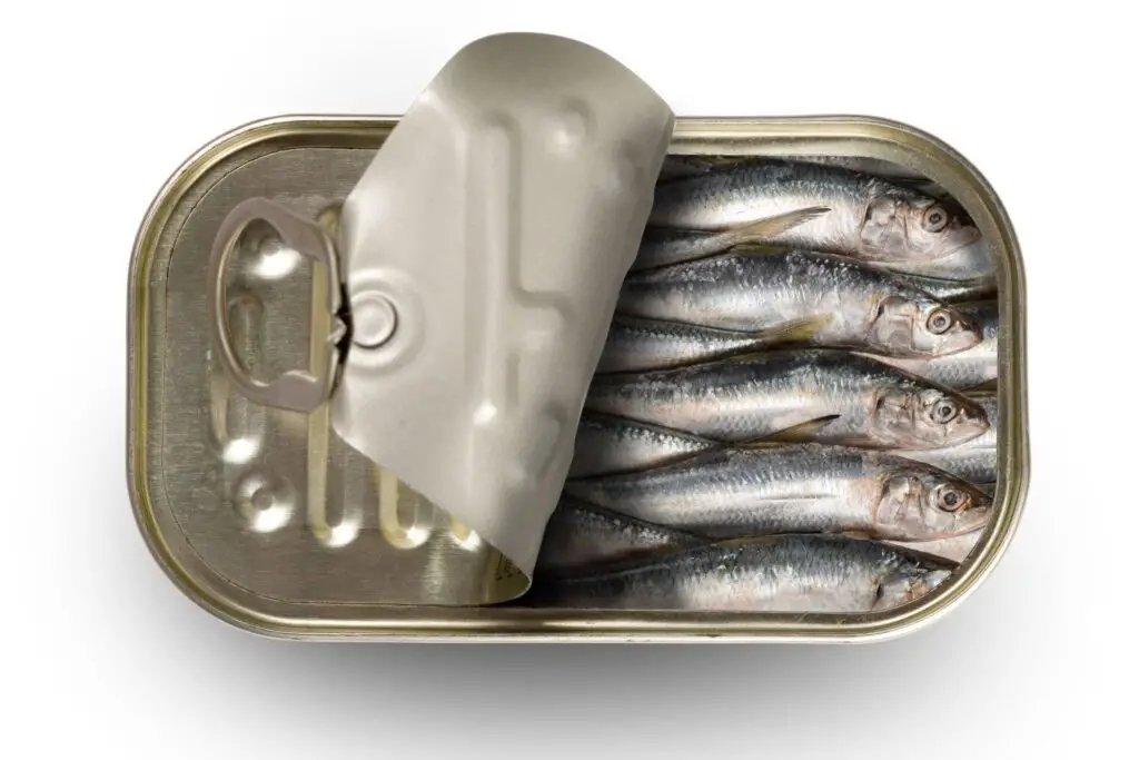 Can You Eat Sardine Skin and Bones? Are They Safe to Eat? - KitchenBun.com