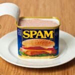 canned spam opened