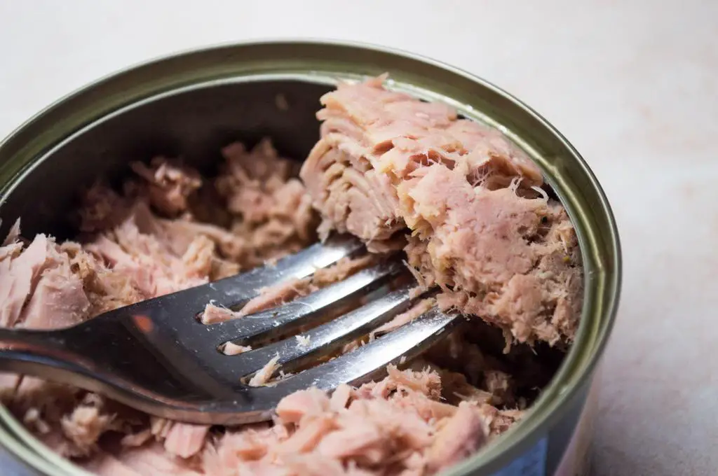 tunafish in a can