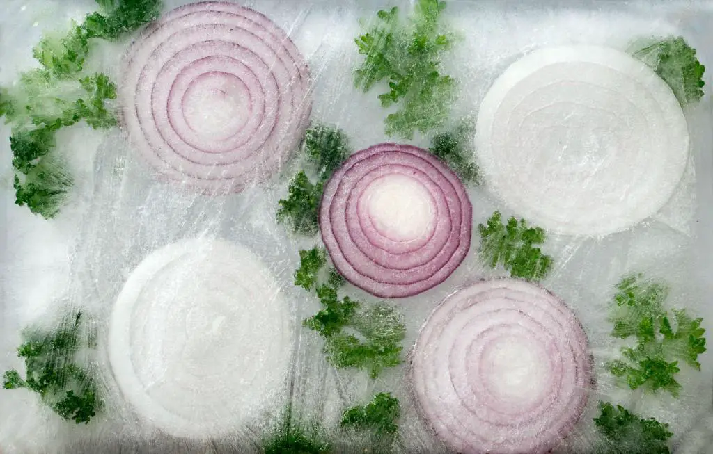 fresh onion frozen in ice