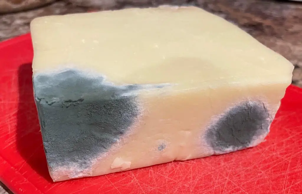 moldy mozzarella