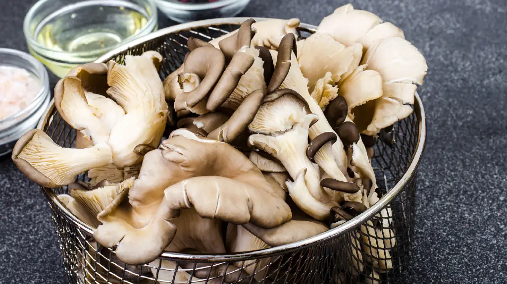 moldy oyster mushrooms