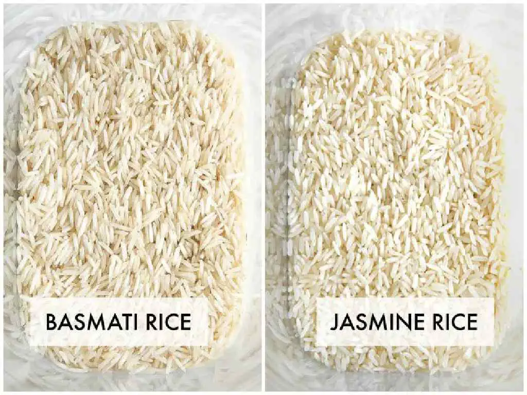 basmati rice vs jasmine rice