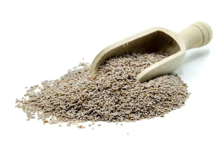 Chia Seeds vs. Psyllium Husk: Which is the Better for Digestive Health?
