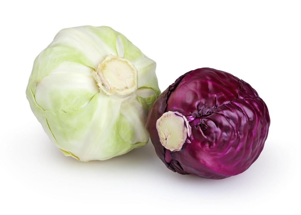 cabbages isolated purple red green