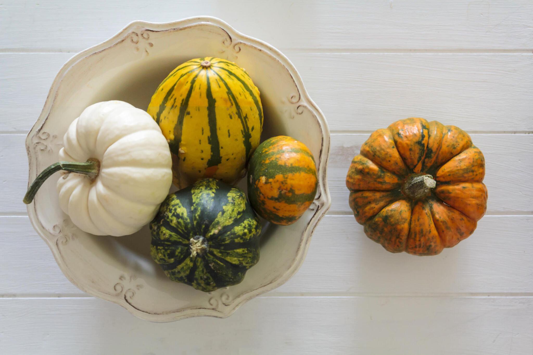 colorful pumpkins squash