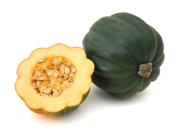 Can You Eat Unripe Acorn Squash? Is It Safe to Eat?