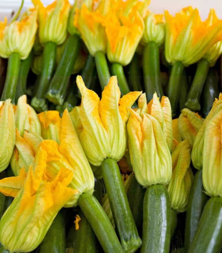Which Zucchini Flowers Can You Eat and How to Cook Them?