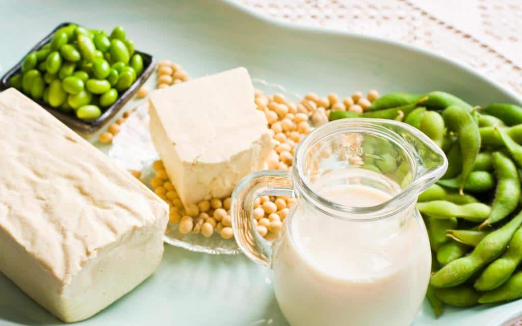soy milk and soybean products