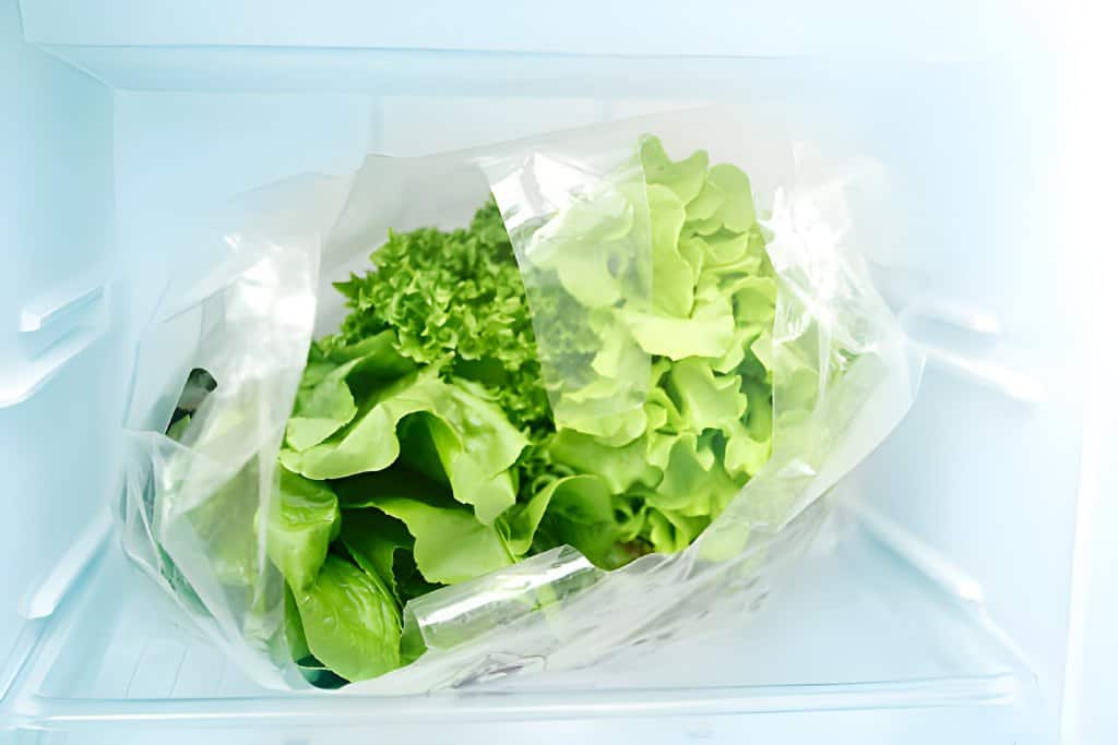 lettuce vegetables in the fridge
