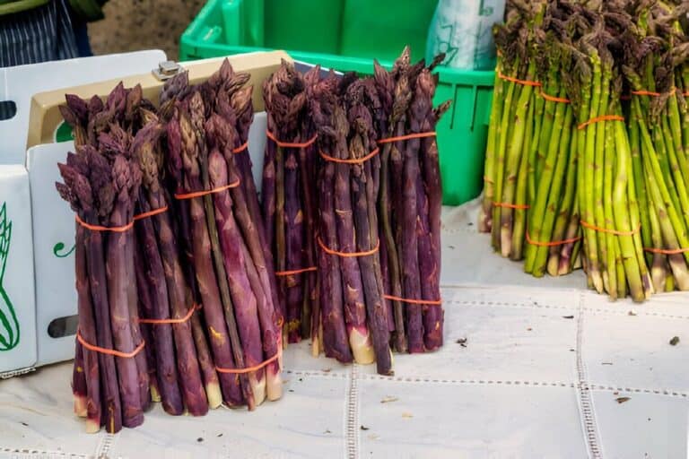Does Purple Asparagus Stay Purple When Cooked?