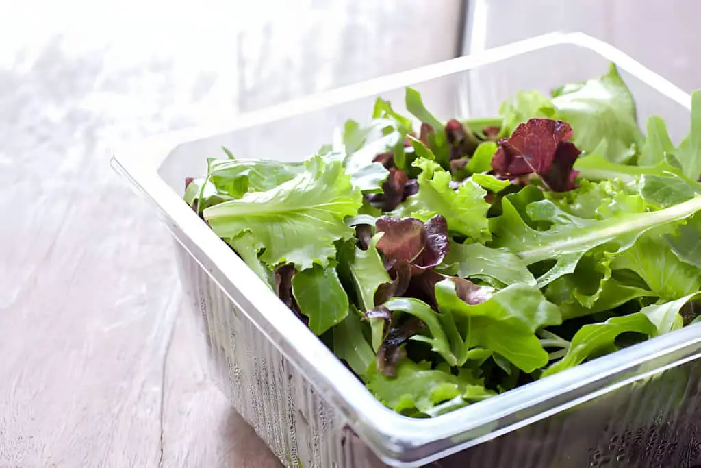 salad ready to eat from supermarket