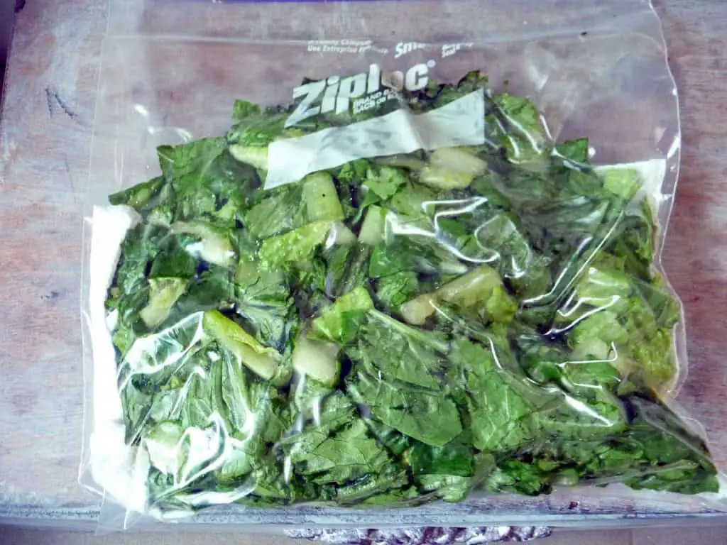 ziploc keep salad in bag