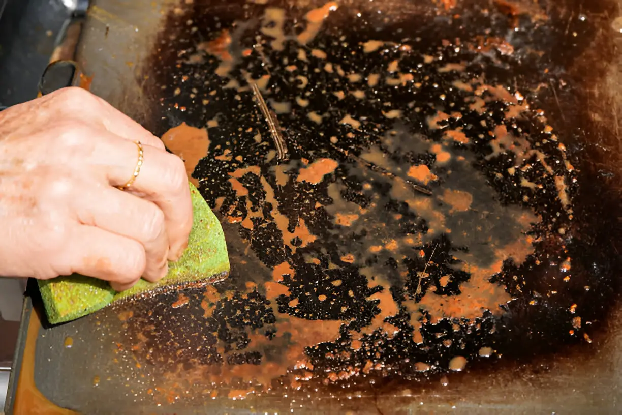 cleaning electric grill dirty plate detail on woman-hand holding wet sponge