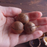 delicious brown round macadamia nuts