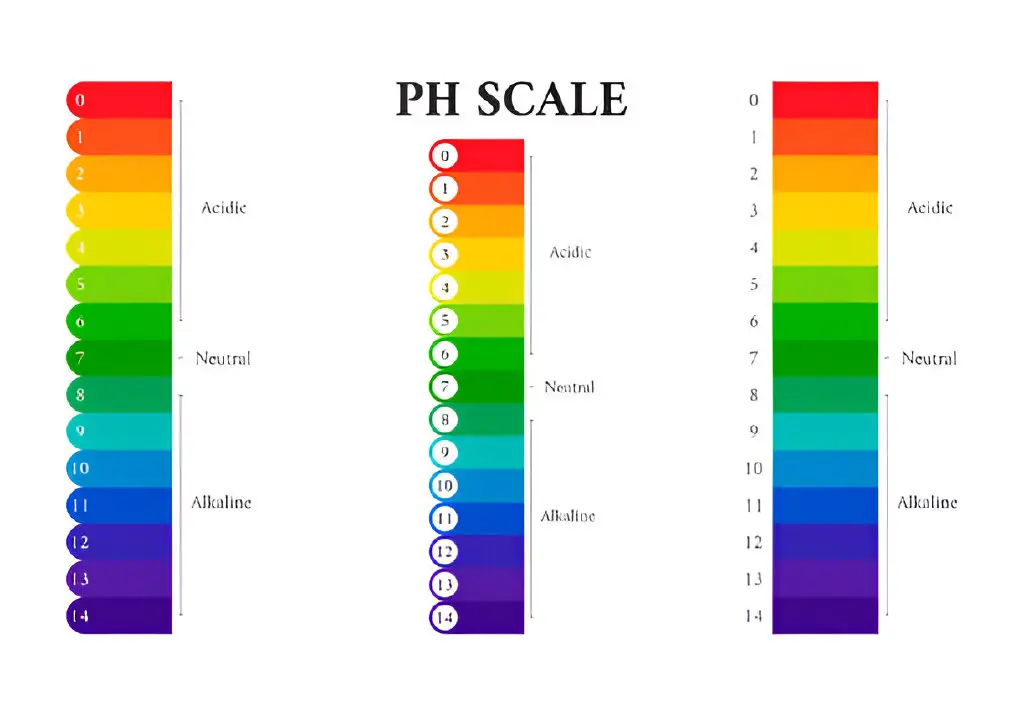 ph scale graphic set scale of-acidity-of-litmus-indicator