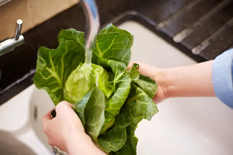 washing cabbage in kitchen