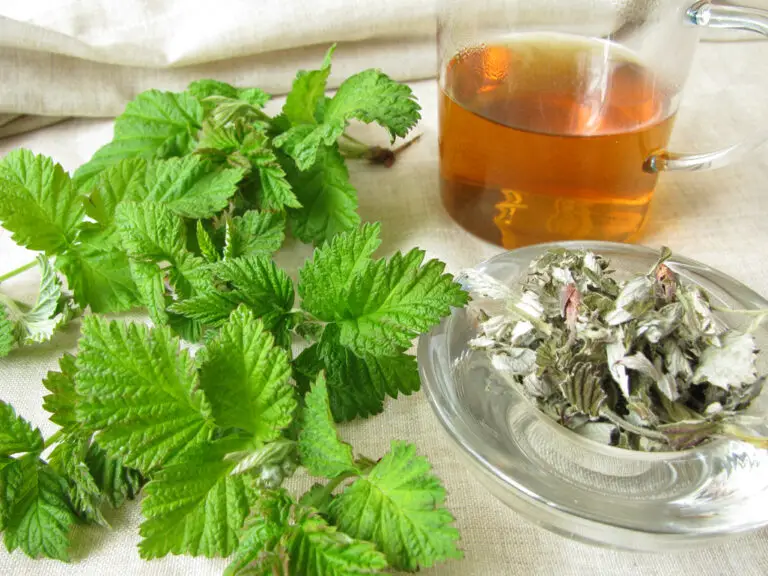 How To Make Red Raspberry Leaf Tea To Induce Labor