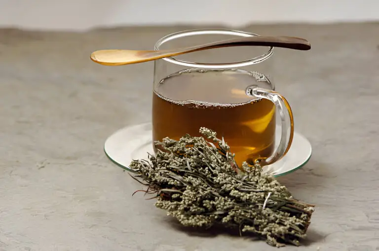 How To Make Mugwort Tea Taste Good and Flavorful Delight