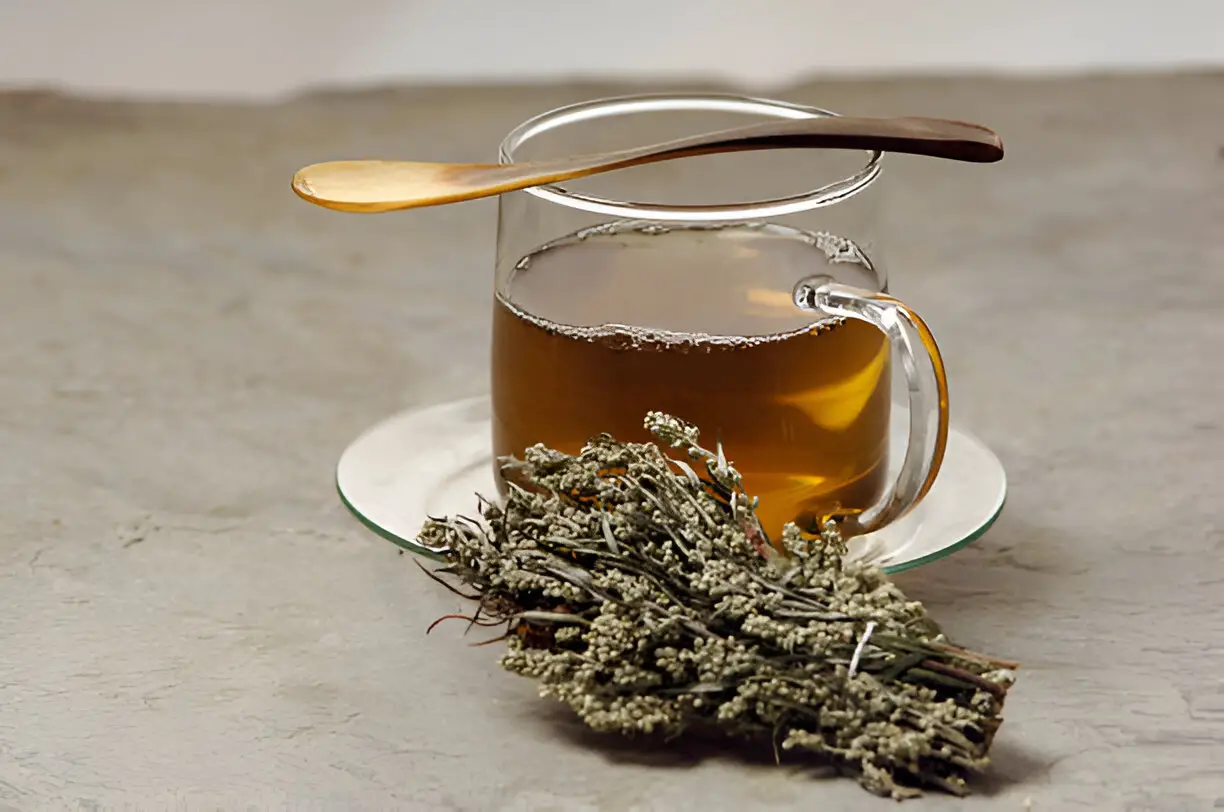 glas of herbal tea with mugwort