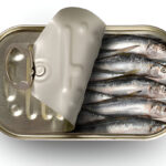 tinned sardines